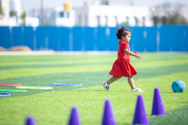 西汉姆联引 西汉姆联引