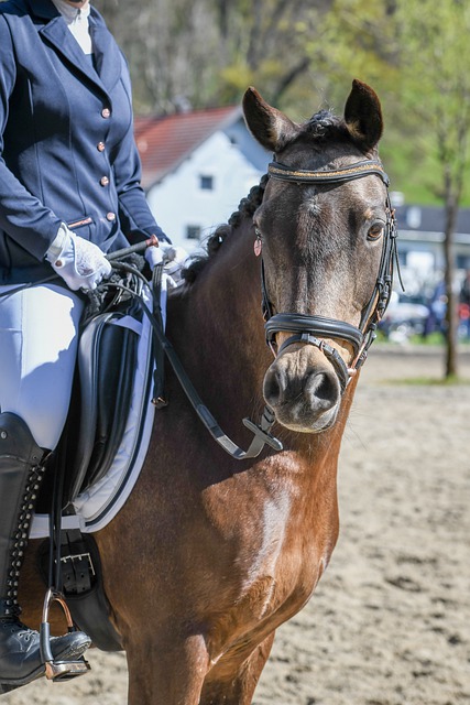 对于许多新 对于许多新