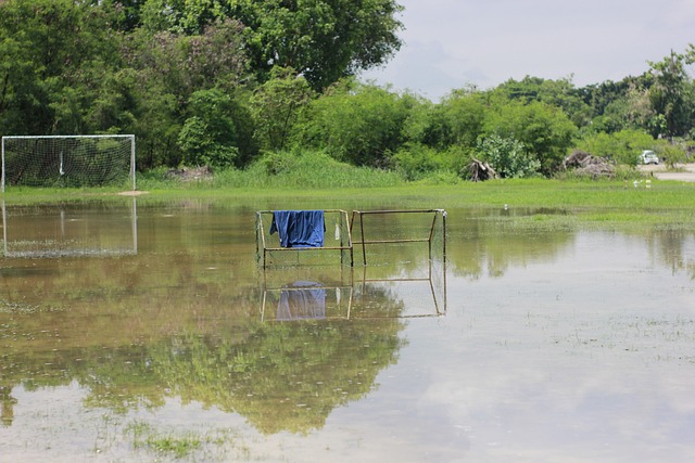 高度相似之 高度相似之