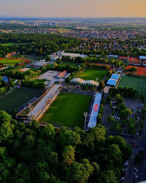 技术特点 技术特点