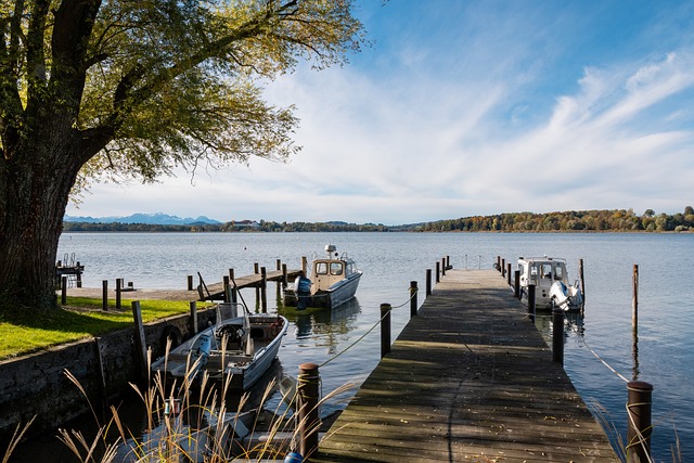 参加澳网正 参加澳网正