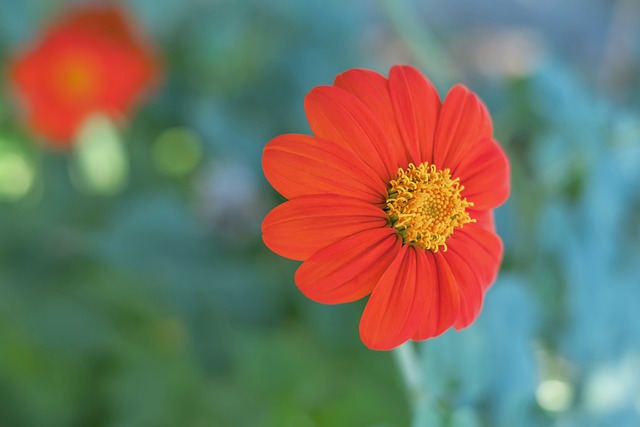 开场后不久 开场后不久