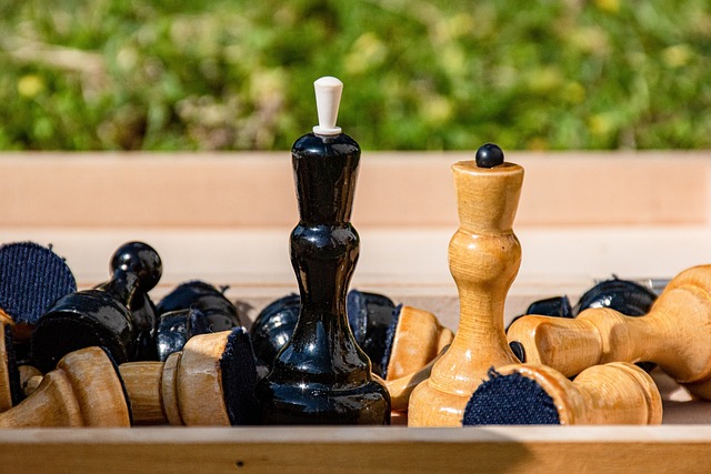 了属于自己 了属于自己