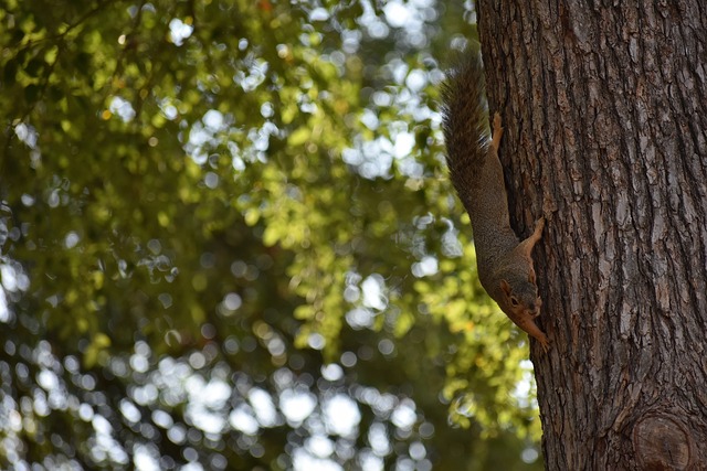 的球风书写 的球风书写