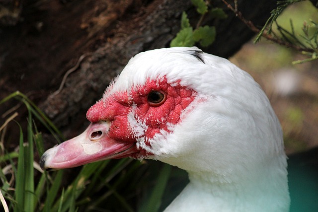 快船与湖人 快船与湖人