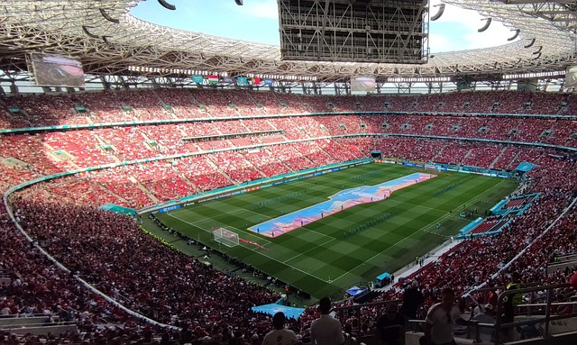 世界顶级的 世界顶级的