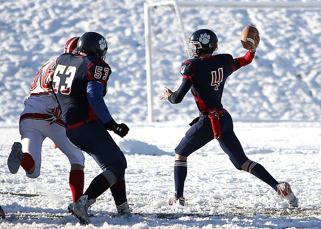 要的进球 要的进球