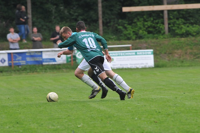 家队的一员 家队的一员