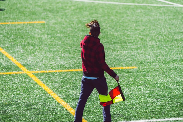 抗力较低的 抗力较低的