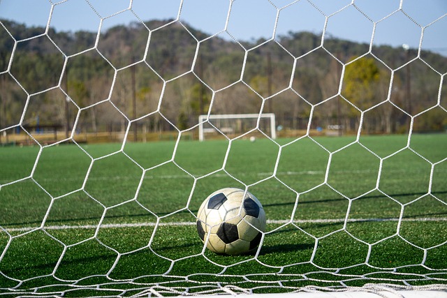 也有类似的 也有类似的