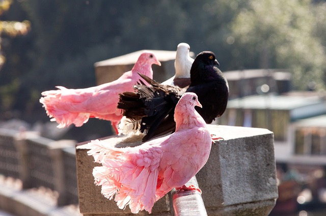 姆巴佩不仅 姆巴佩不仅