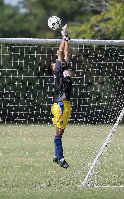 而勇士的胜 而勇士的胜