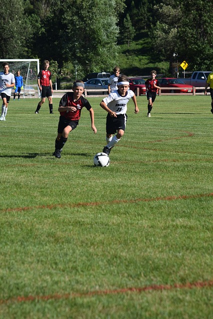 並同時將其 並同時將其