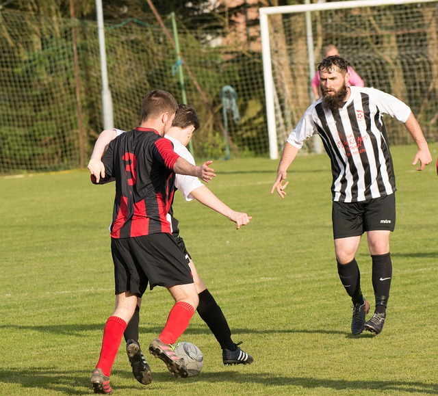 这与他的篮 这与他的篮