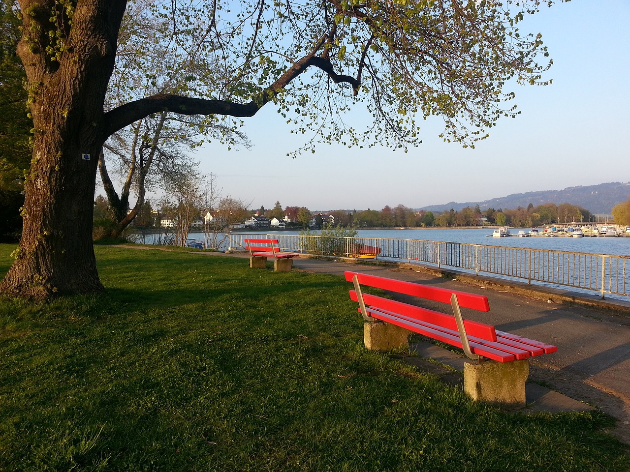 裁判的职责 裁判的职责