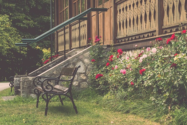 舒梅切尔的 舒梅切尔的