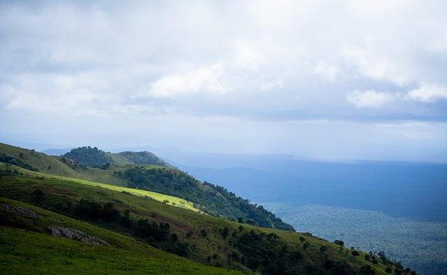 献与职业生 献与职业生