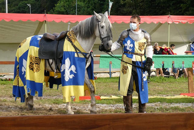 他们作为一 他们作为一