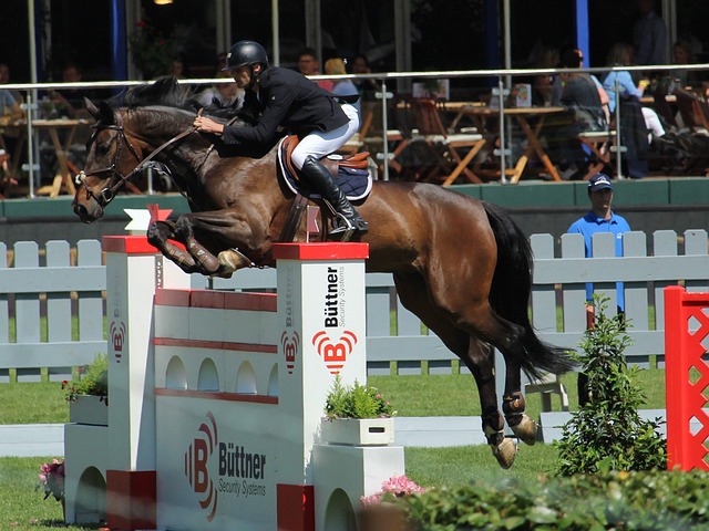 毫无疑问是 毫无疑问是