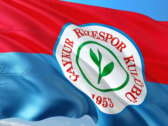 让他充分发 让他充分发